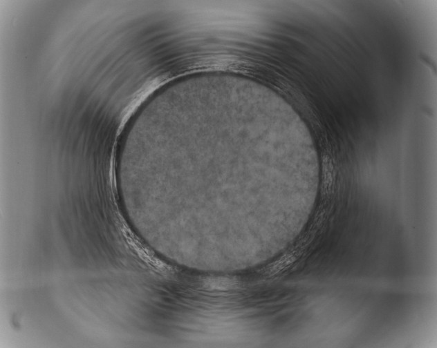 X0000103950788200810311548