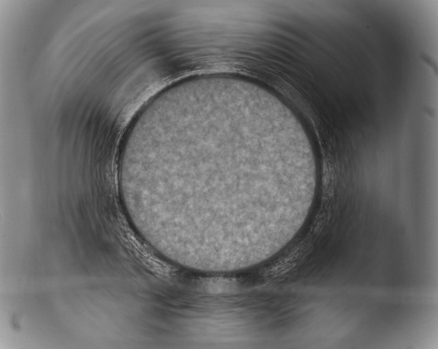 X0000103950789200810311548