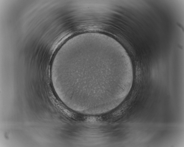X0000103950790200810311548