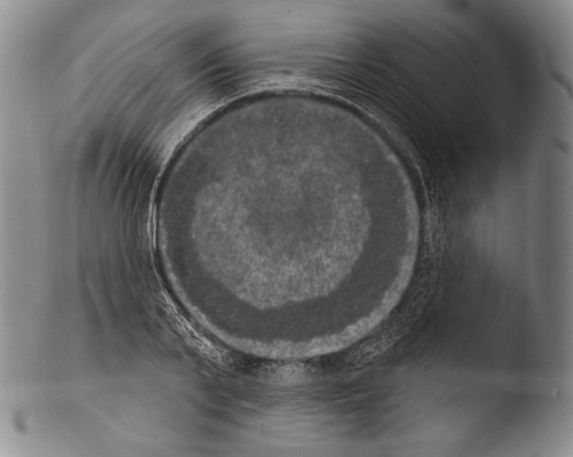 X0000103950791200810311548