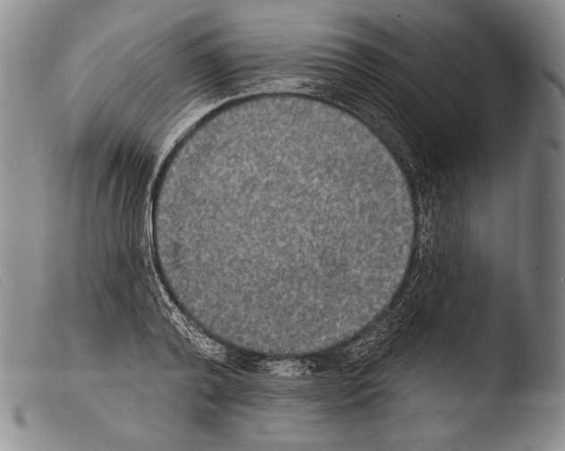 X0000103950792200810311548