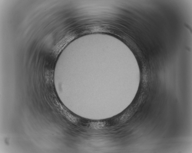 X0000103950793200810311548
