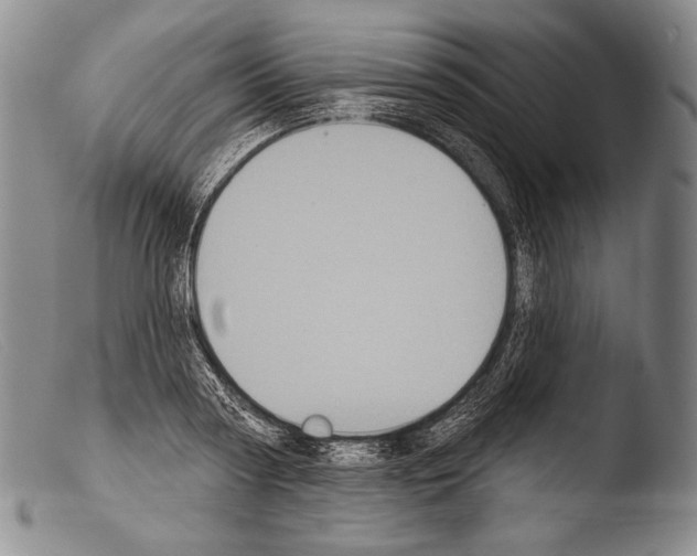 X0000103950794200810311548