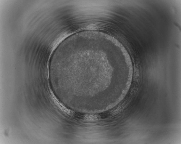 X0000103950795200810311548