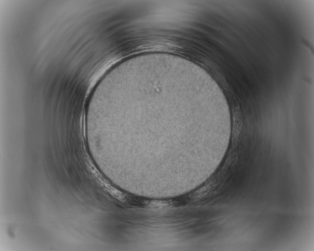 X0000103950796200810311548