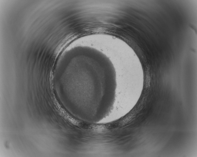X0000103950798200810311547