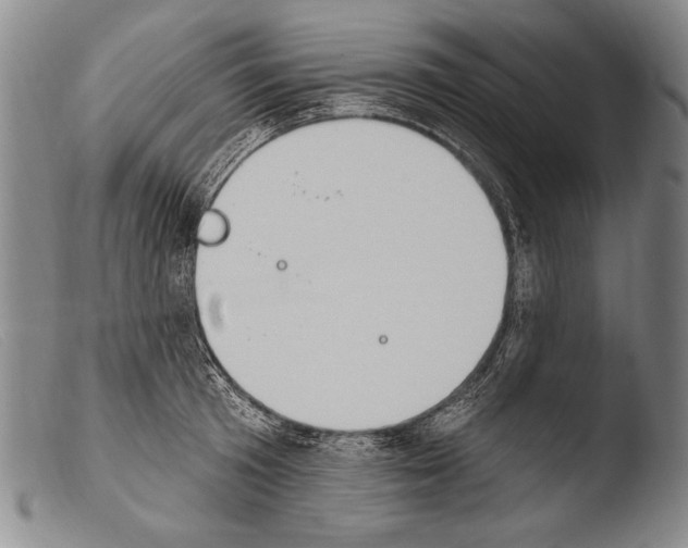 X0000103950801200810311547