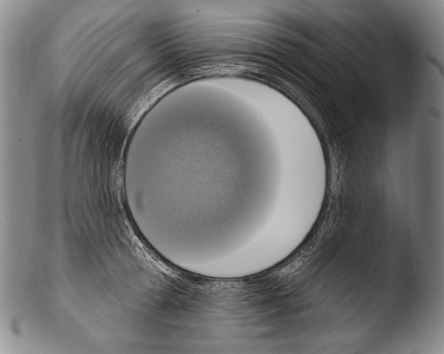 X0000103950802200810311547