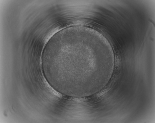 X0000103950803200810311547