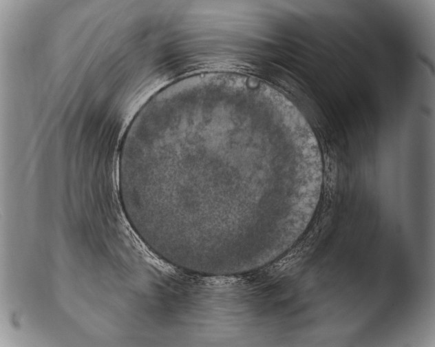 X0000103950804200810311547
