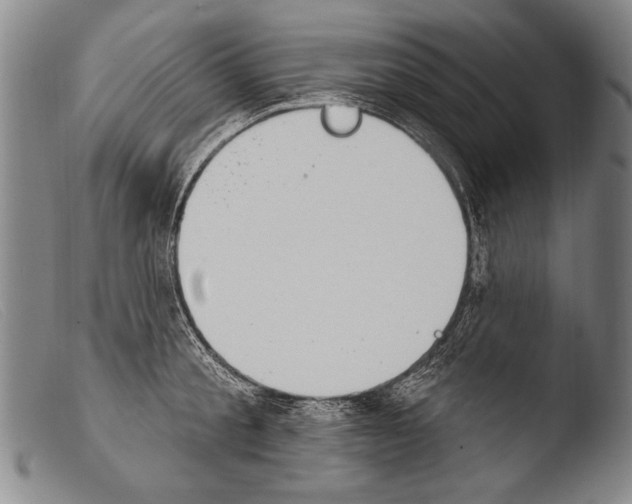 X0000103950805200810311547