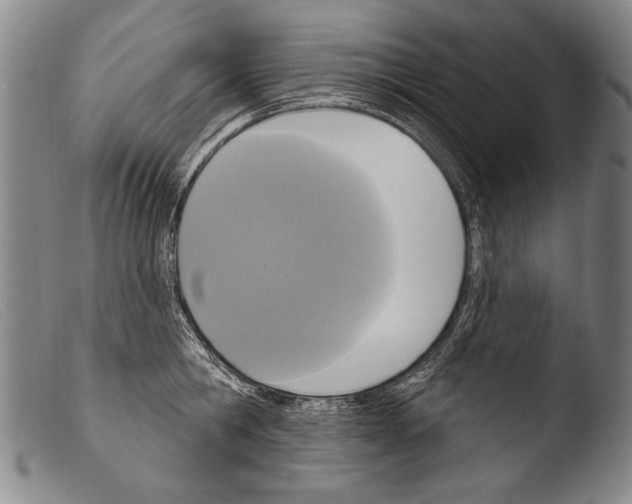 X0000103950806200810311547