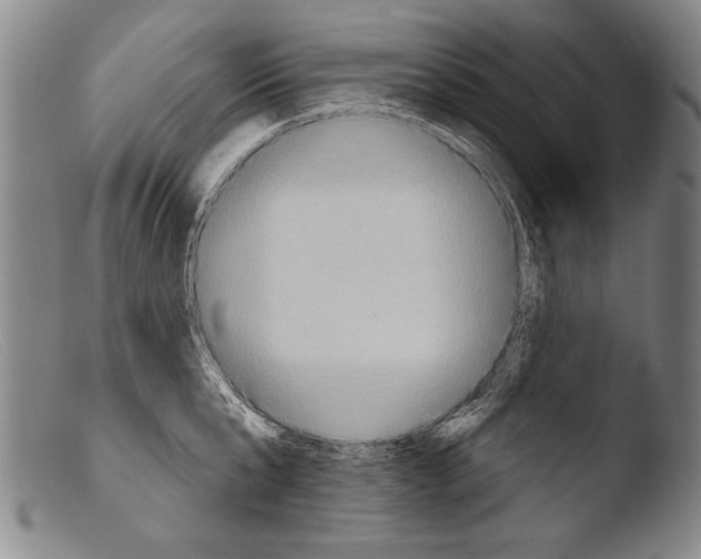 X0000103950807200810311547