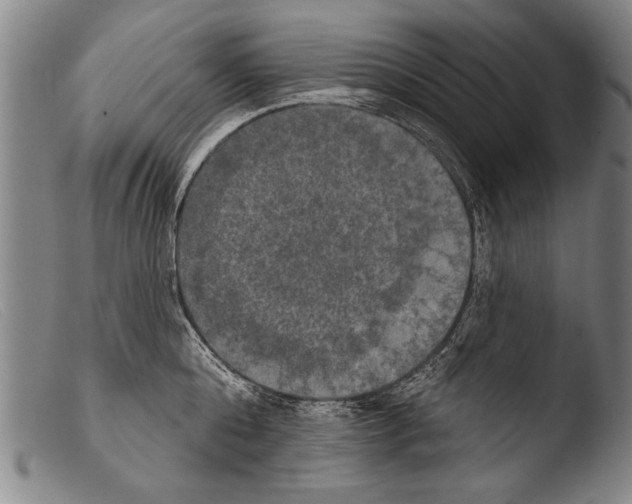 X0000103950808200810311547