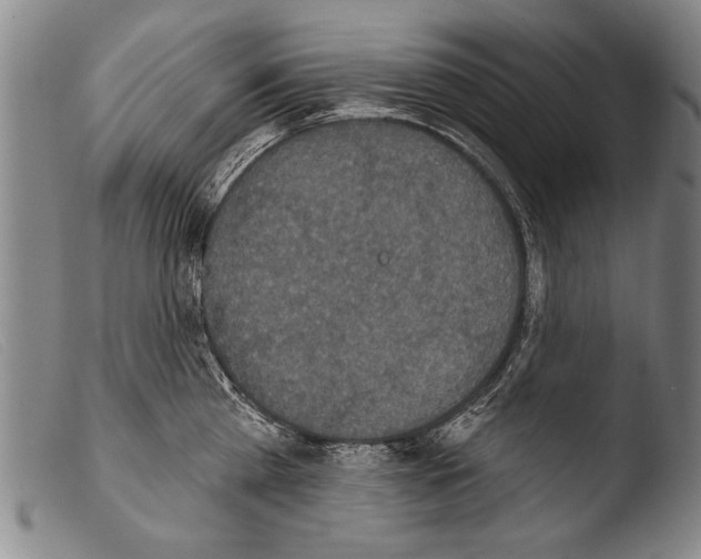 X0000103950809200810311547