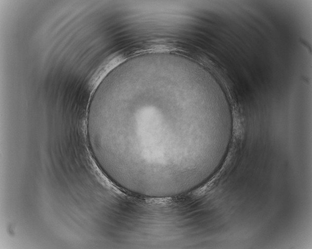 X0000103950810200810311547