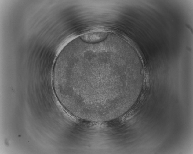X0000103950811200810311547