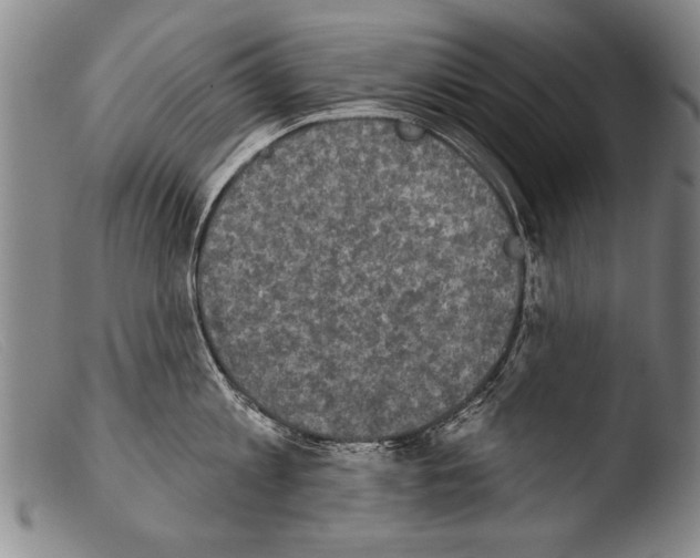 X0000103950813200810311547