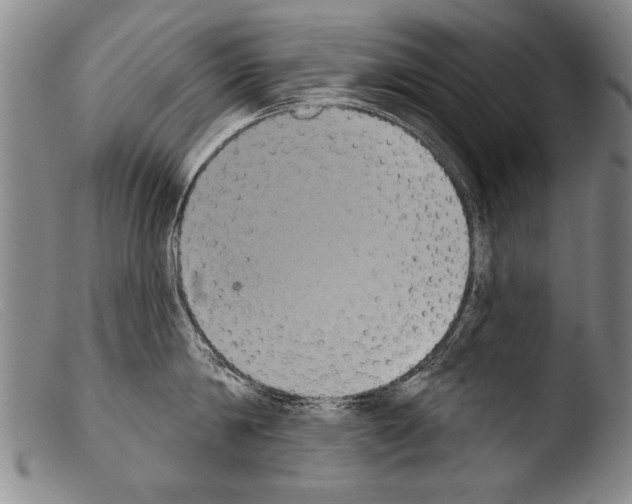 X0000103950814200810311547