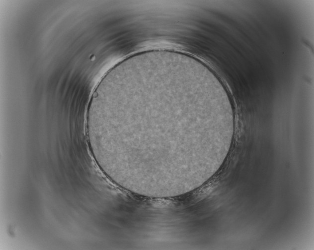 X0000103950815200810311547