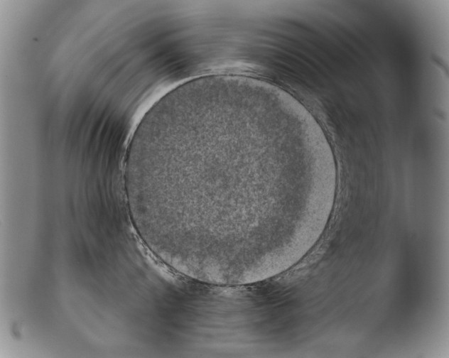 X0000103950816200810311547
