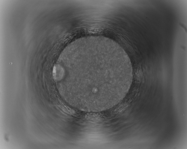 X0000103950817200810311547