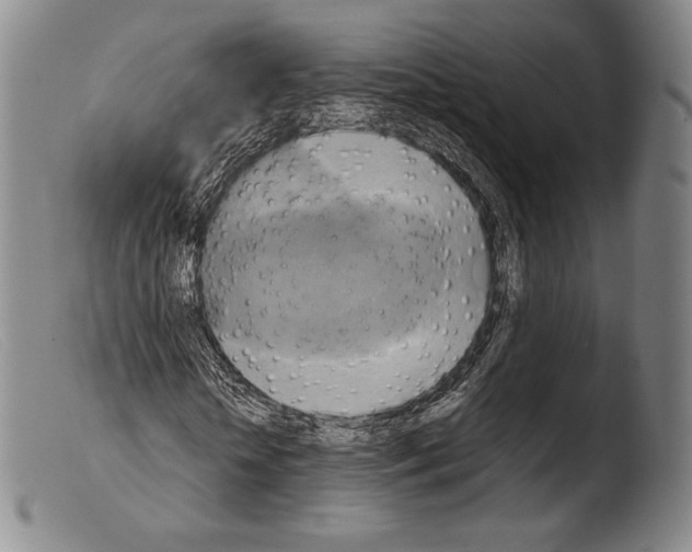 X0000103950818200810311547