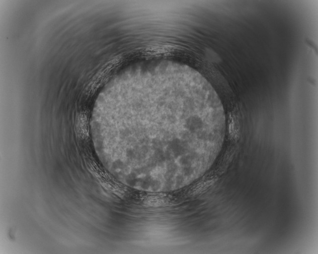 X0000103950819200810311547