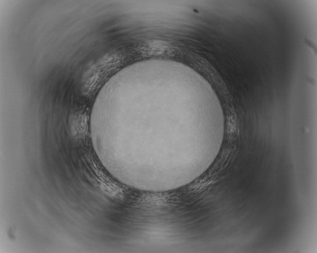 X0000103950820200810311547