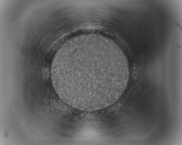 X0000103950821200810311547