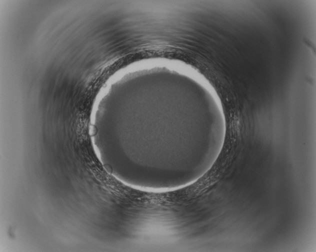 X0000103950822200810311547