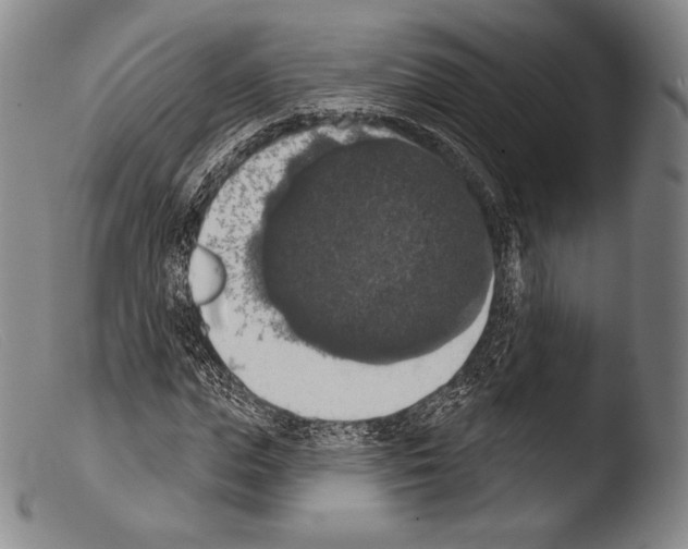 X0000103950823200810311547