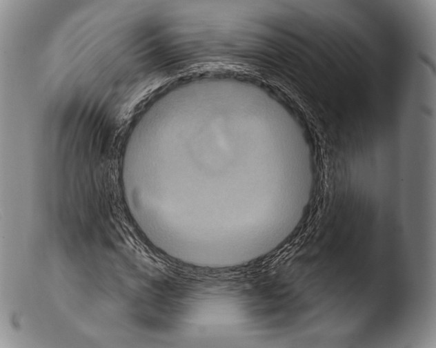 X0000103950824200810311547