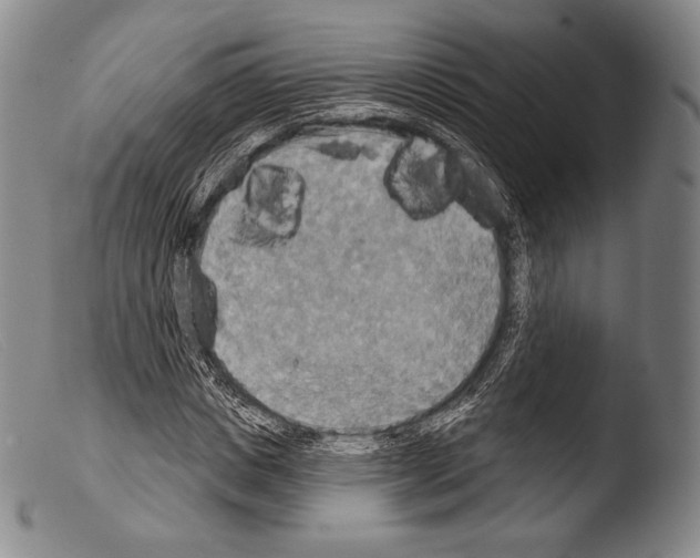 X0000103950825200810311547
