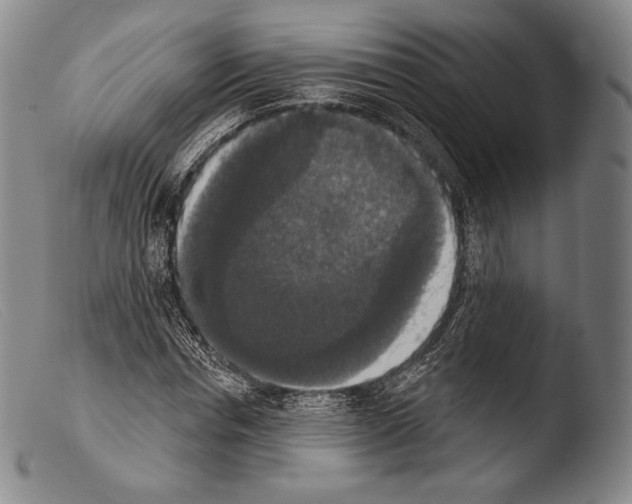 X0000103950826200810311547