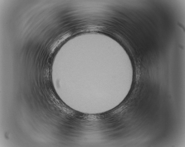 X0000103950827200810311547