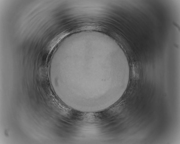 X0000103950828200810311547
