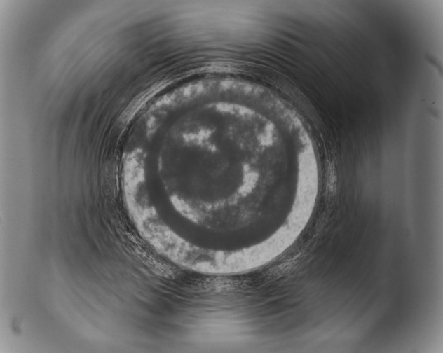 X0000103950829200810311547