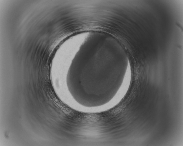 X0000103950830200810311547