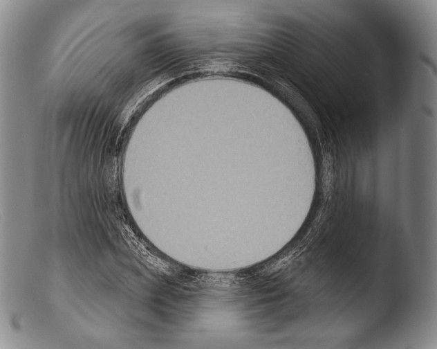 X0000103950831200810311547