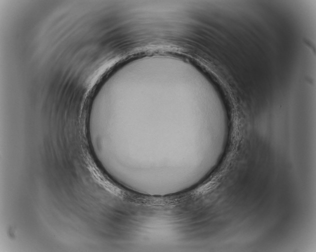 X0000103950832200810311547