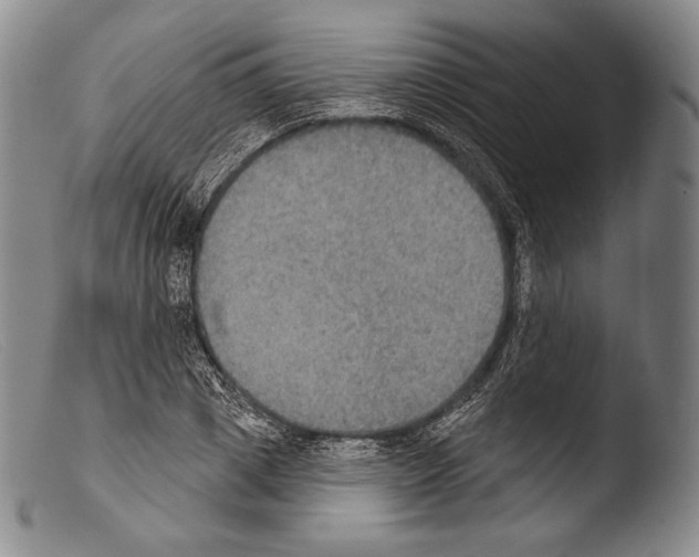 X0000103950833200810311547