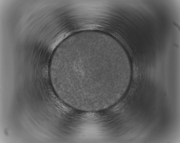 X0000103950834200810311547
