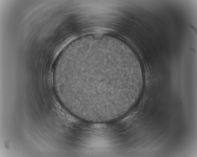 X0000103950835200810311547