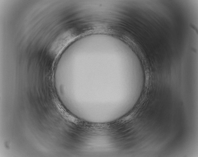 X0000103950836200810311547