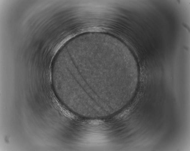 X0000103950837200810311547