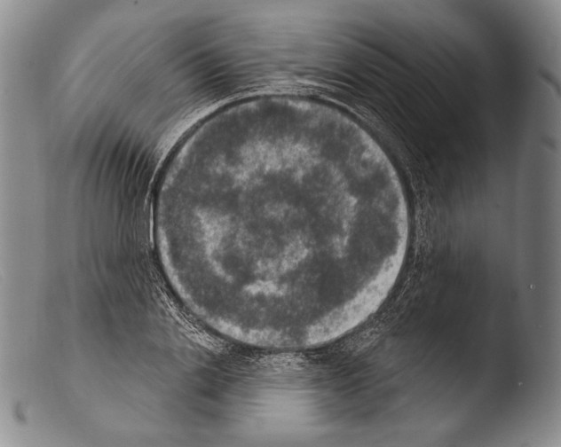 X0000103950838200810311547