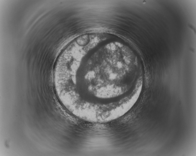 X0000103950839200810311547