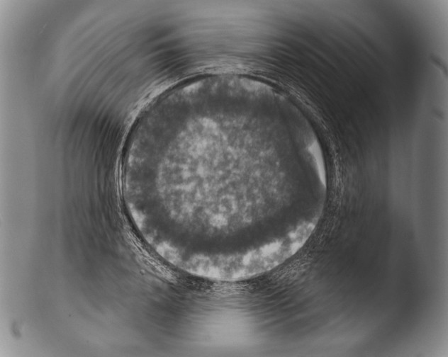 X0000103950840200810311547