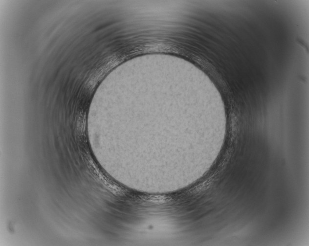 X0000103950841200810311547